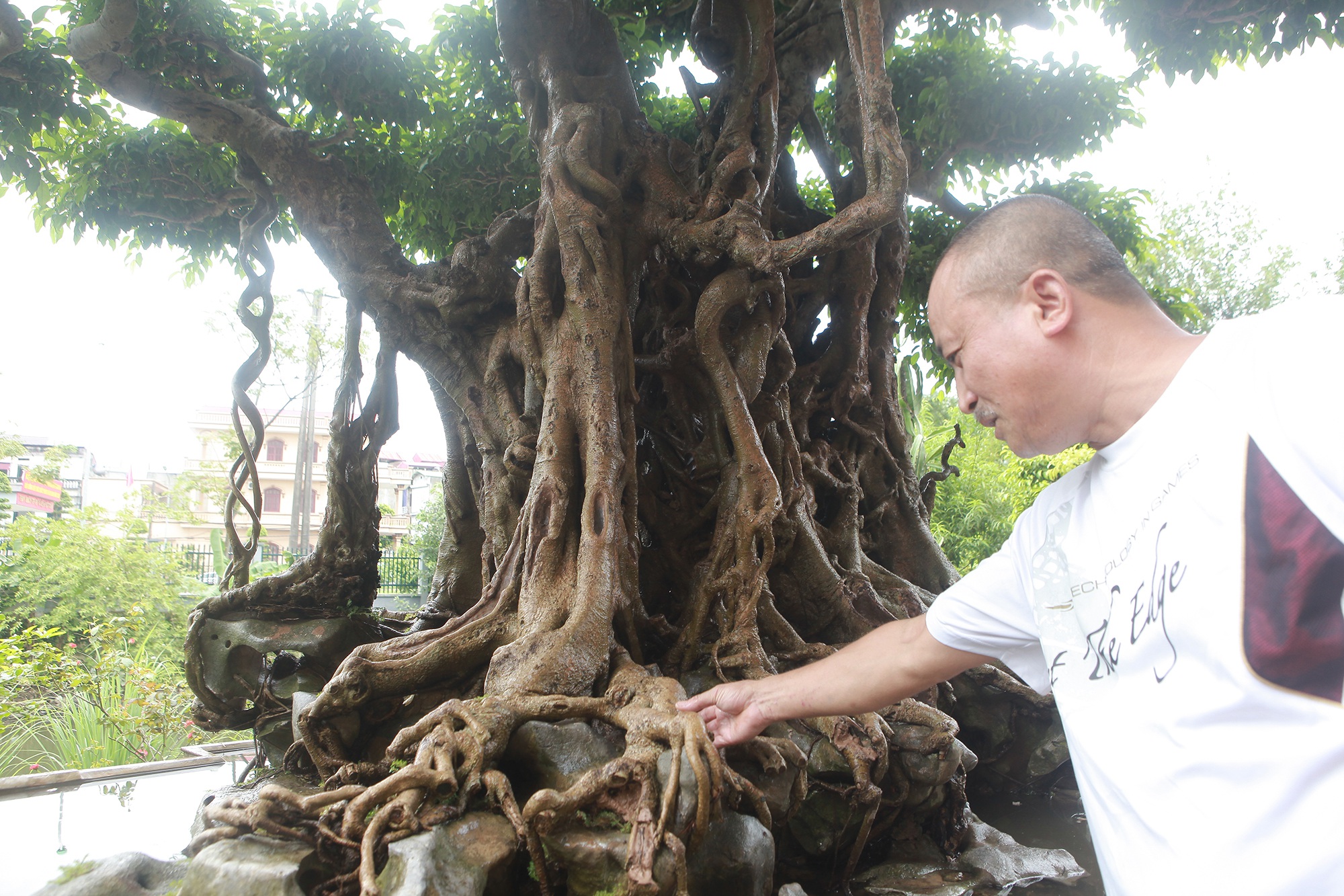 “Báu vật ẩn mình” có tuổi đời 500 năm ở Hà Nội, trả 100 cây vàng không bán - 3