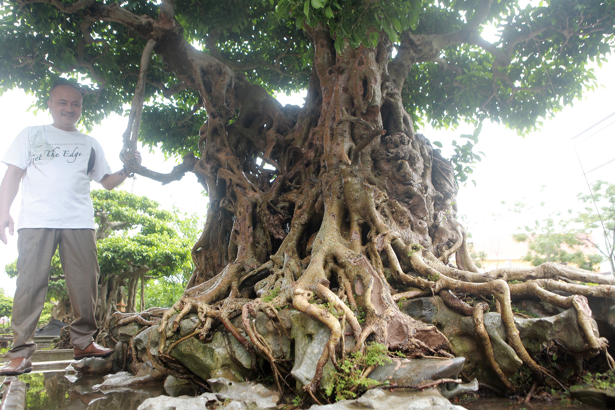 “Báu vật ẩn mình” có tuổi đời 500 năm ở Hà Nội, trả 100 cây vàng không bán - 6
