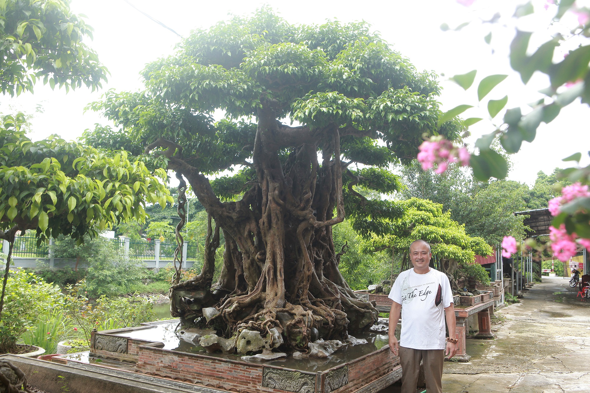 “Báu vật ẩn mình” có tuổi đời 500 năm ở Hà Nội, trả 100 cây vàng không bán - 10