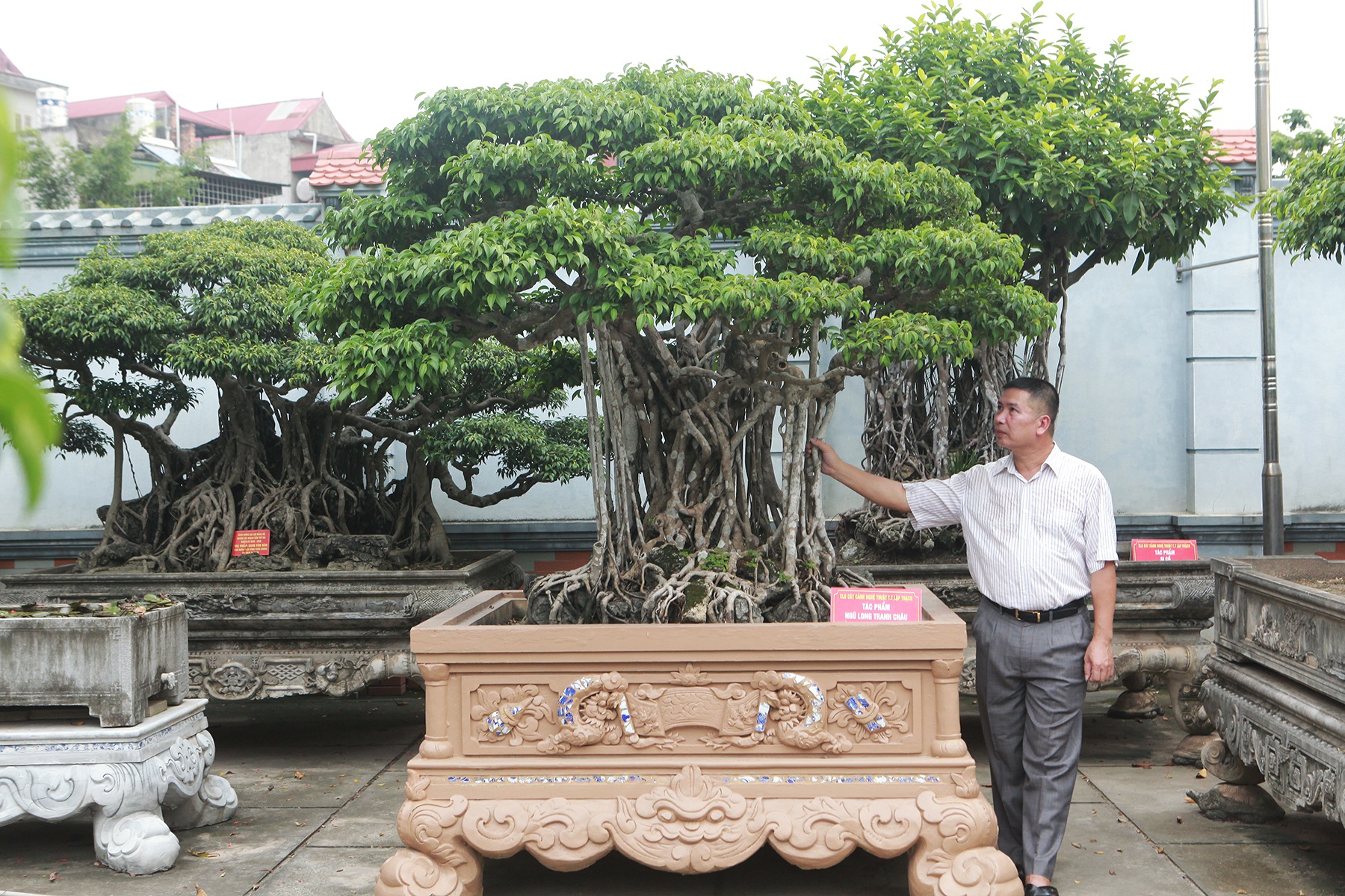 Sanh cổ “Ngũ long tranh châu” mua từ năm 1996 với giá 100 cây vàng - 1